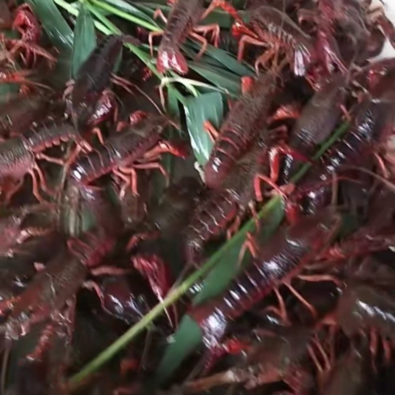 精品小龙虾，硬规格，酒店，批发直供
