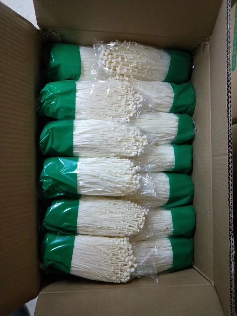 金针菇胖，全品类