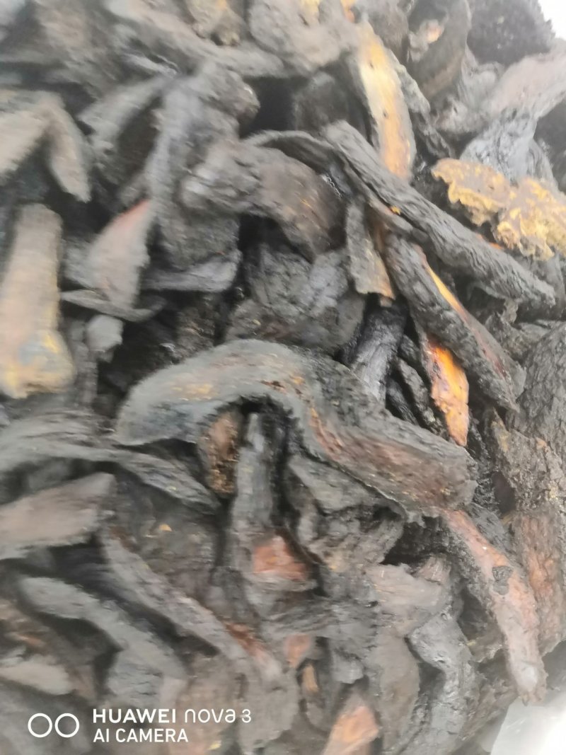 野生肉苁蓉中药材！产地直销批发价！量大包邮