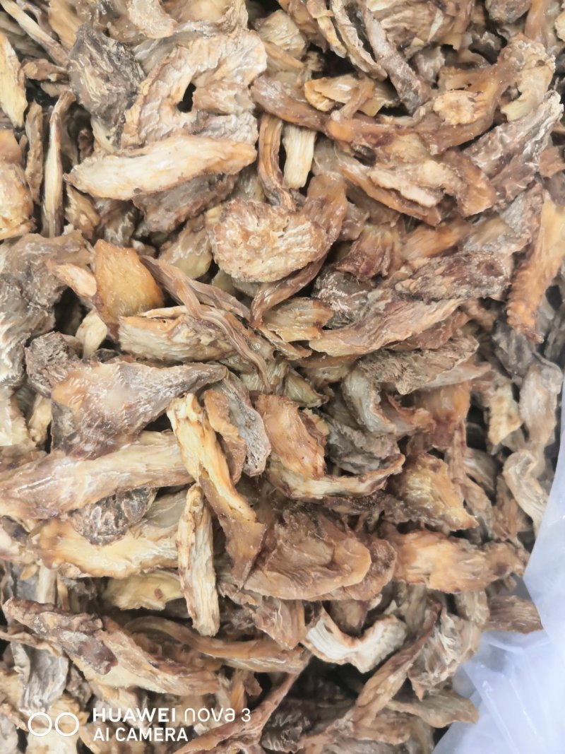 野生肉苁蓉中药材！产地直销批发价！量大包邮