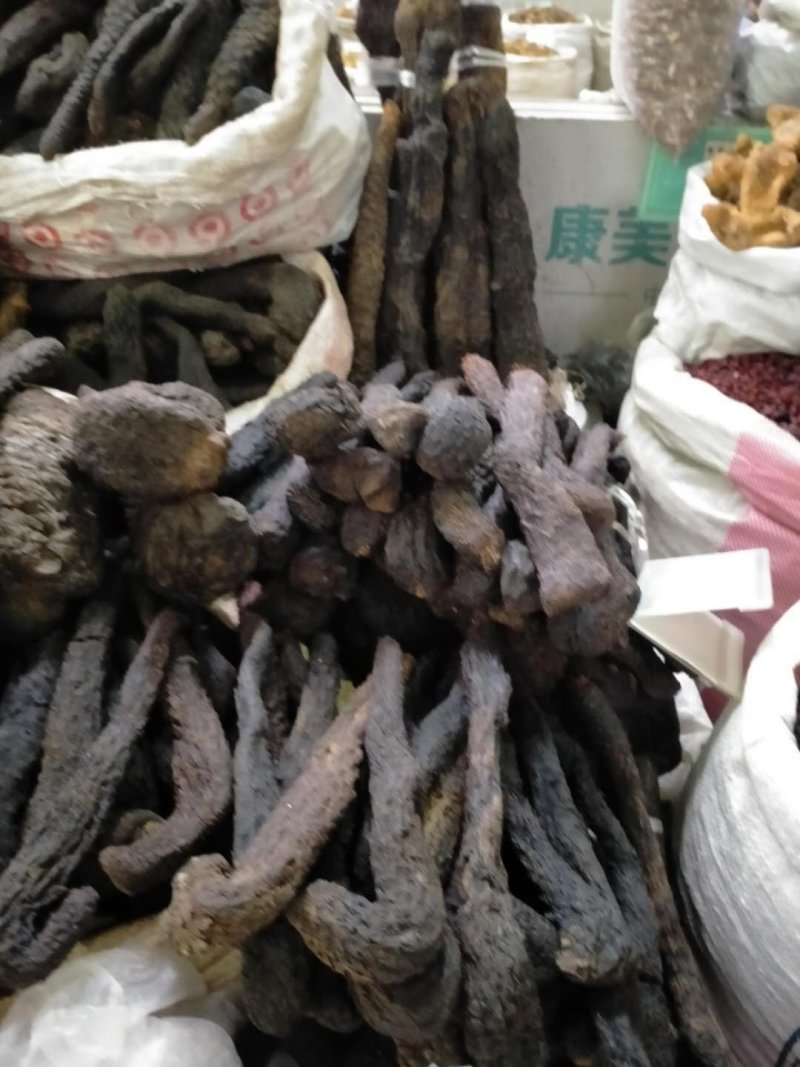 野生肉苁蓉中药材！产地直销批发价！量大包邮