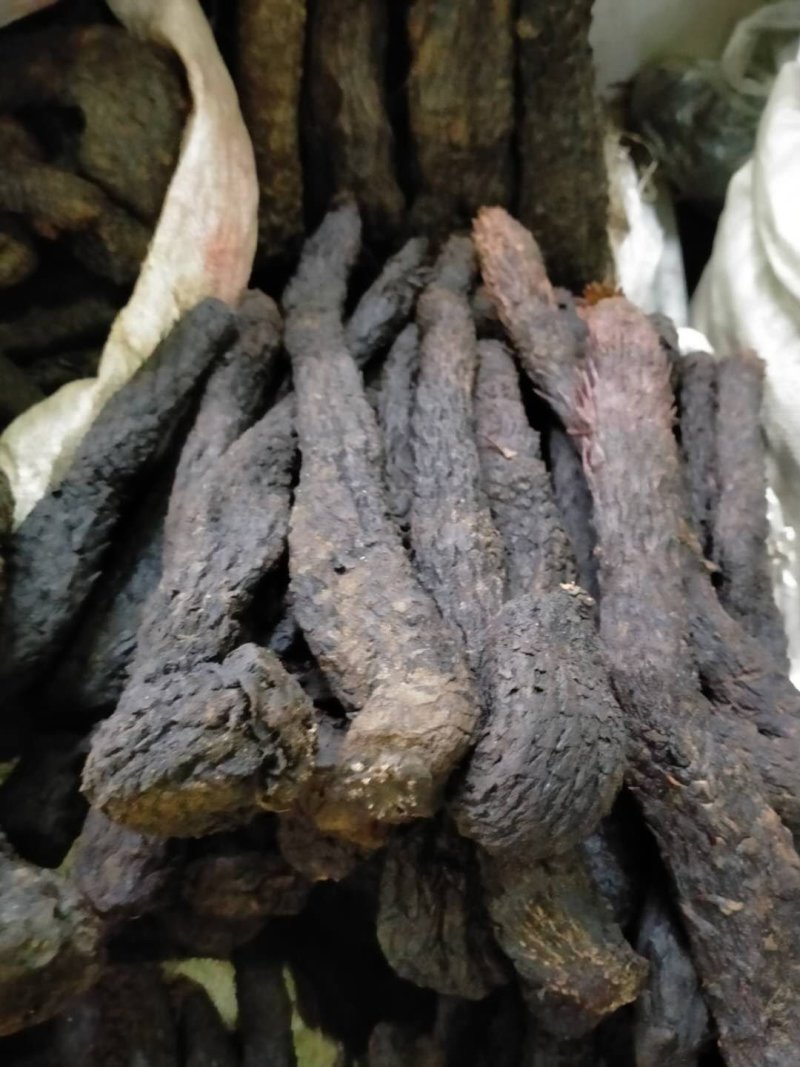 野生肉苁蓉中药材！产地直销批发价！量大包邮