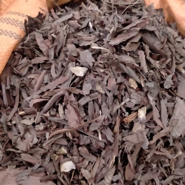 中药材紫草高含量大货批发！50公斤以上物流包邮！