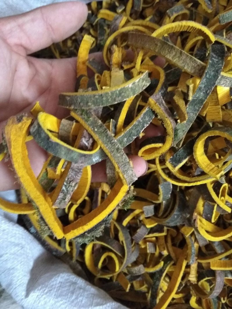 川黄柏，黄柏丝，未去外粗皮干切黄柏丝，货干颜色漂亮