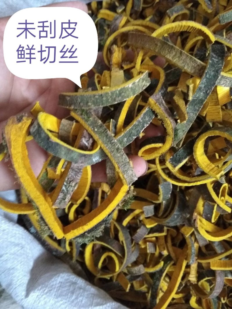 川黄柏，黄柏丝，未去外粗皮干切黄柏丝，货干颜色漂亮