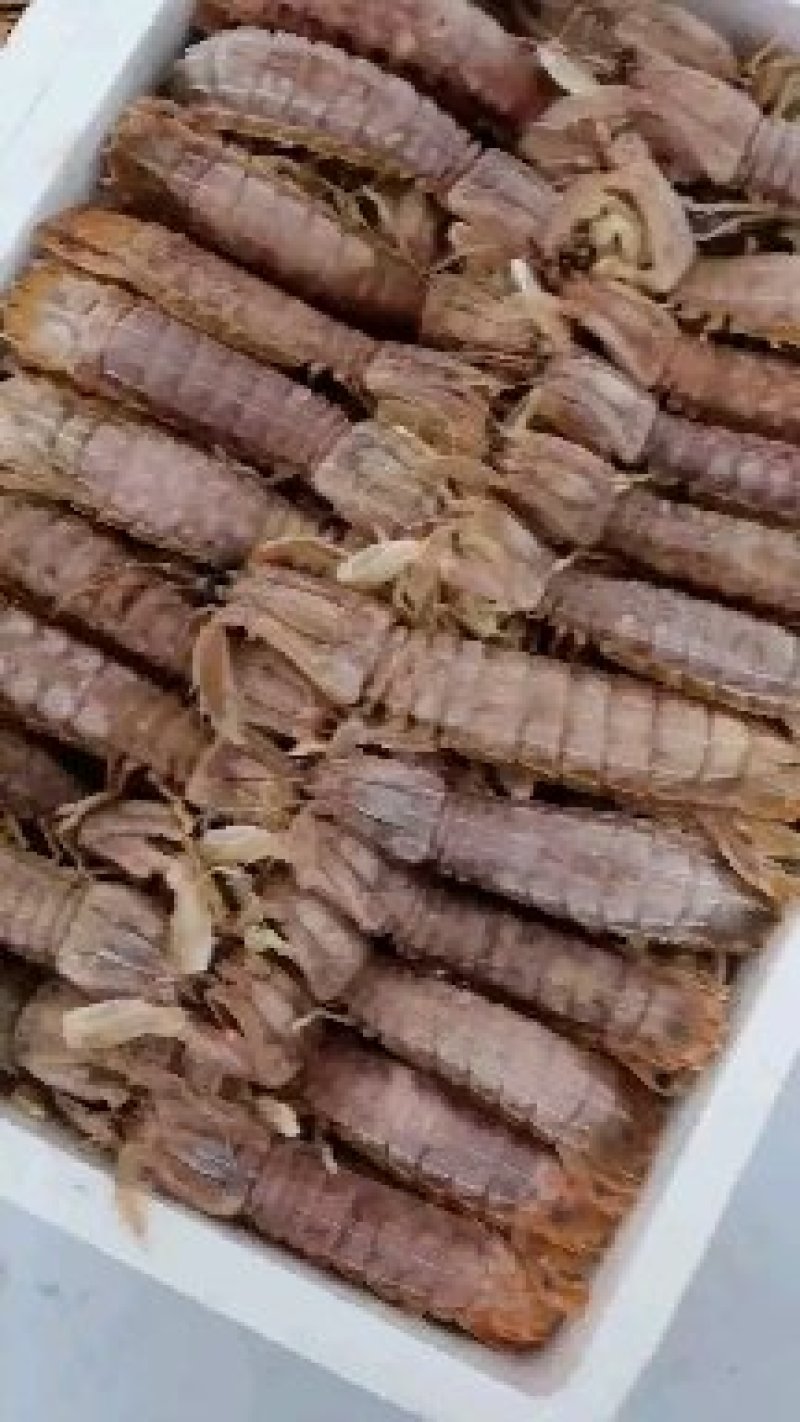 熟冻皮皮虾新鲜皮皮虾熟冻虾爬子虾姑虾婆婆琵琶虾满肉