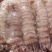 新鲜皮皮虾肉爬虾肉琵笆虾肉虾姑肉濑尿虾肉做馅炒菜虾婆肉