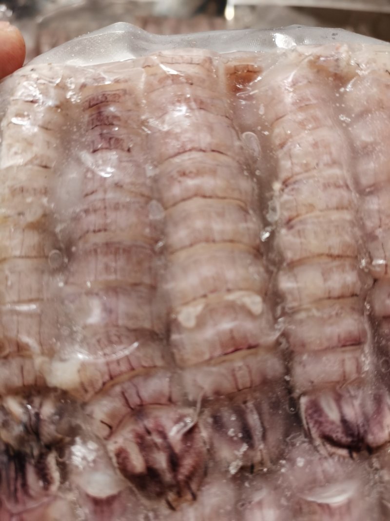 新鲜皮皮虾肉爬虾肉琵笆虾肉虾姑肉濑尿虾肉做馅炒菜虾婆肉