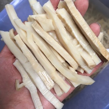 超嫩水发笋毛竹笋新鲜泡笋笋干笋丝饭店酒店批发