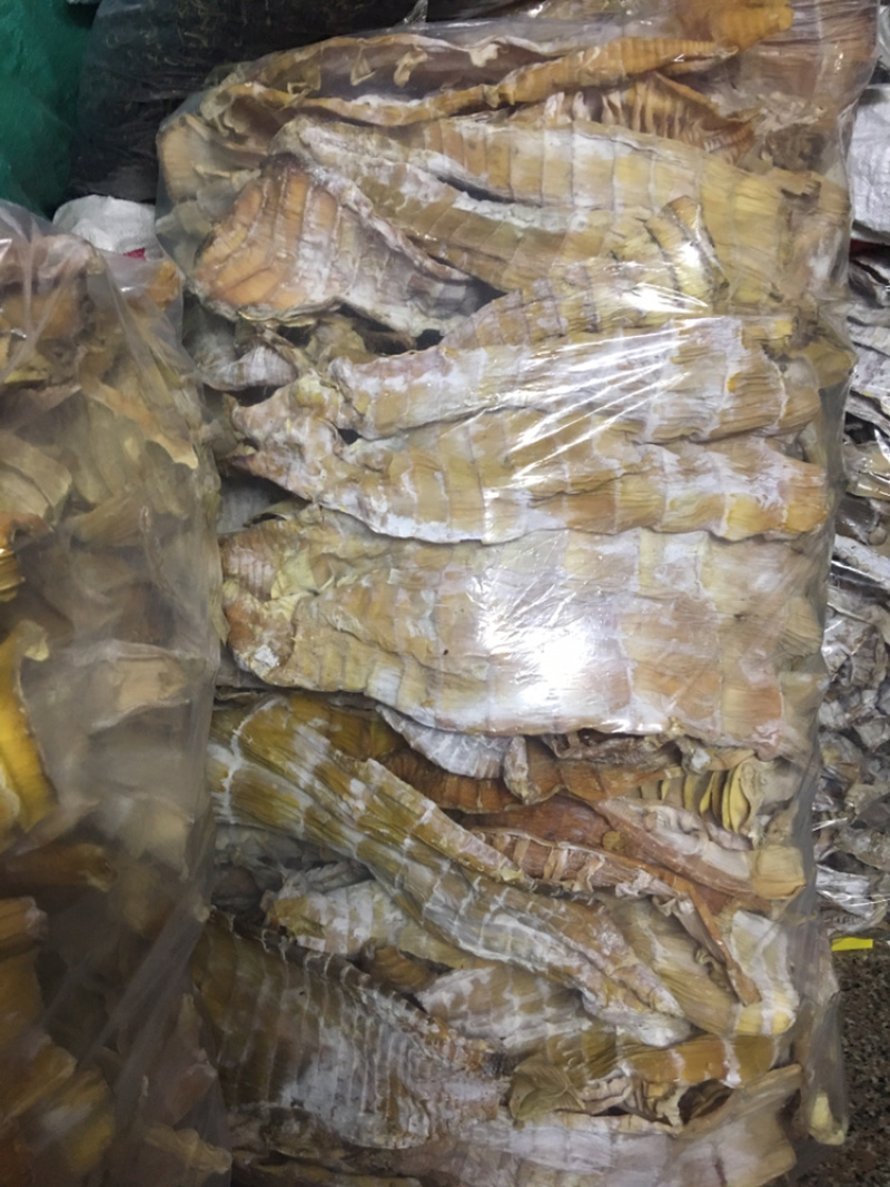 超嫩水发笋毛竹笋新鲜泡笋笋干笋丝饭店酒店批发