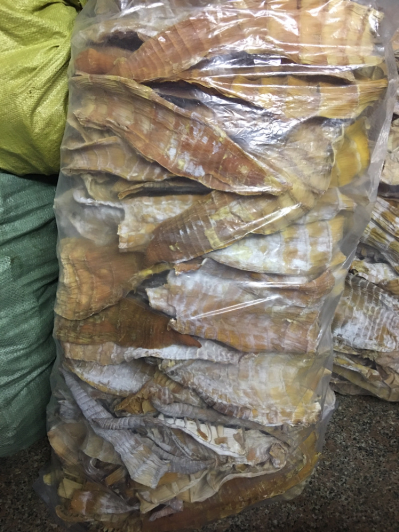 超嫩水发笋毛竹笋新鲜泡笋笋干笋丝饭店酒店批发