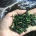 安溪铁观音自产自销一手货源