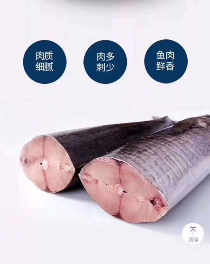 博贺本港马鲛鱼它的营养价值非常高，常被人们认为是山珍海味