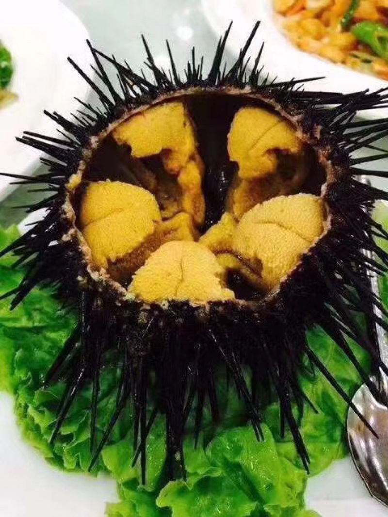 海胆它的营养价值非常高，常被人们认为是山珍海味
