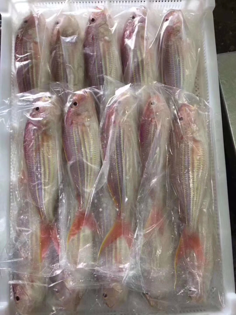 金丝鱼金丝鱼肉美色艳，为宴客佳肴，自古被视为珍品。