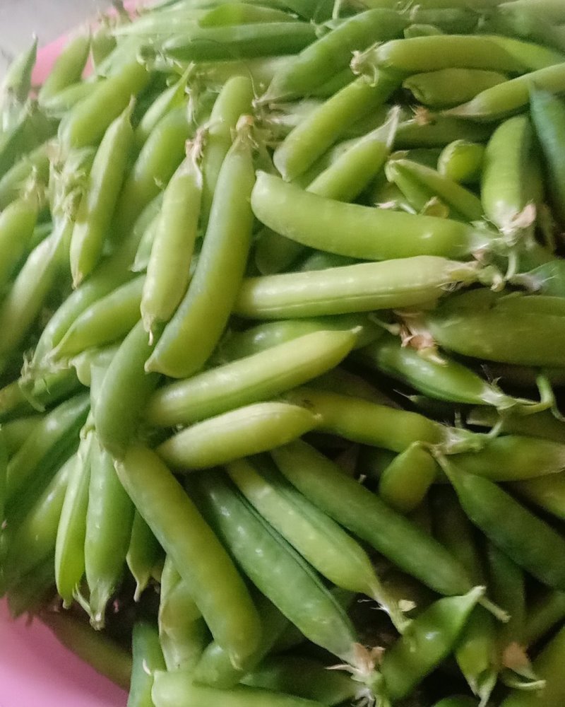 蔬菜