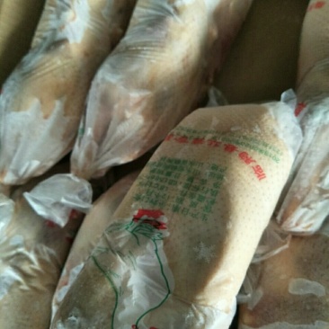 生鲜冷冻白条鸭樱桃谷瘦肉型鸭整鸭10只装2斤2两一只厂家