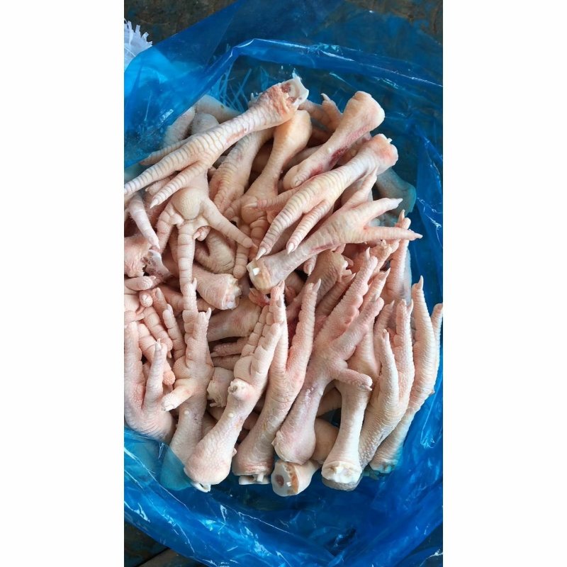生鲜冷冻鸡爪鸡脚东北纯干清真鸡爪卤菜家用食材20斤江浙沪
