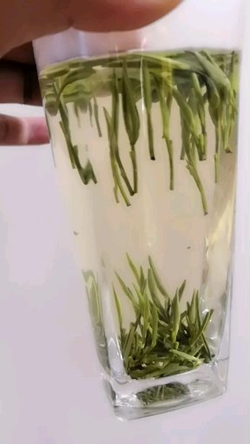 雀舌绿茶2020年明前特级银针茶叶散装