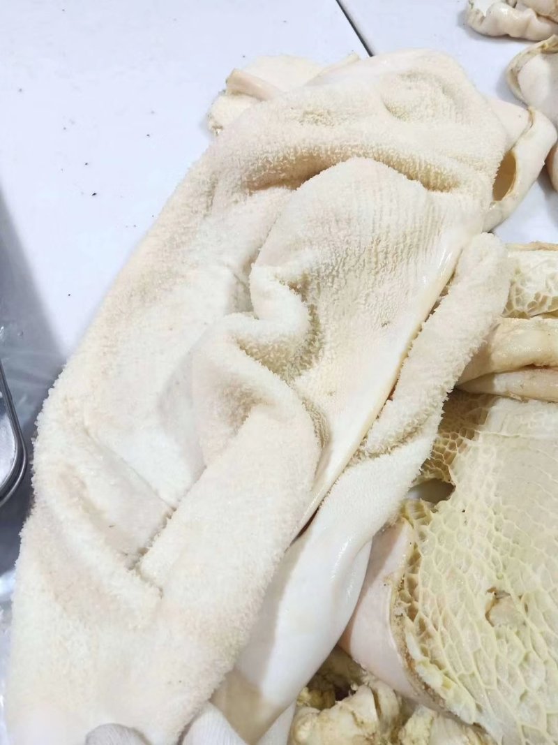 牛肚源头厂家适合炒菜黄焖牛肚凉拌肚