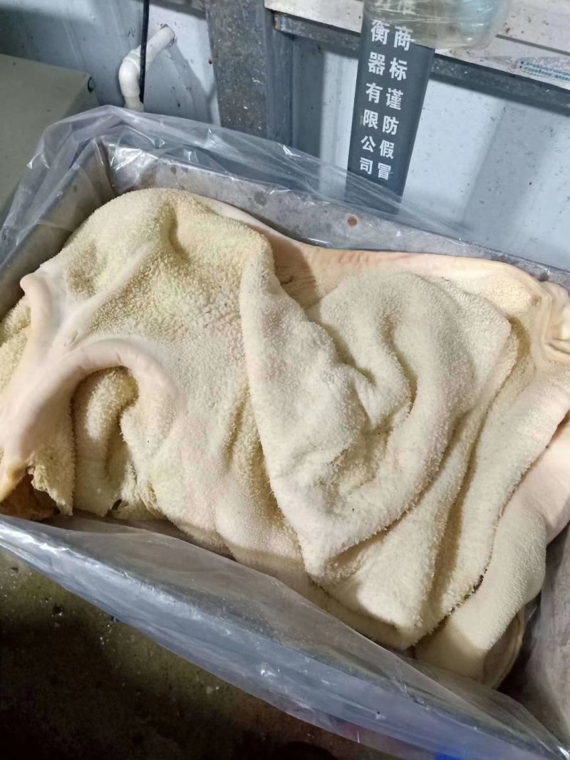 牛肚源头厂家适合炒菜黄焖牛肚凉拌肚
