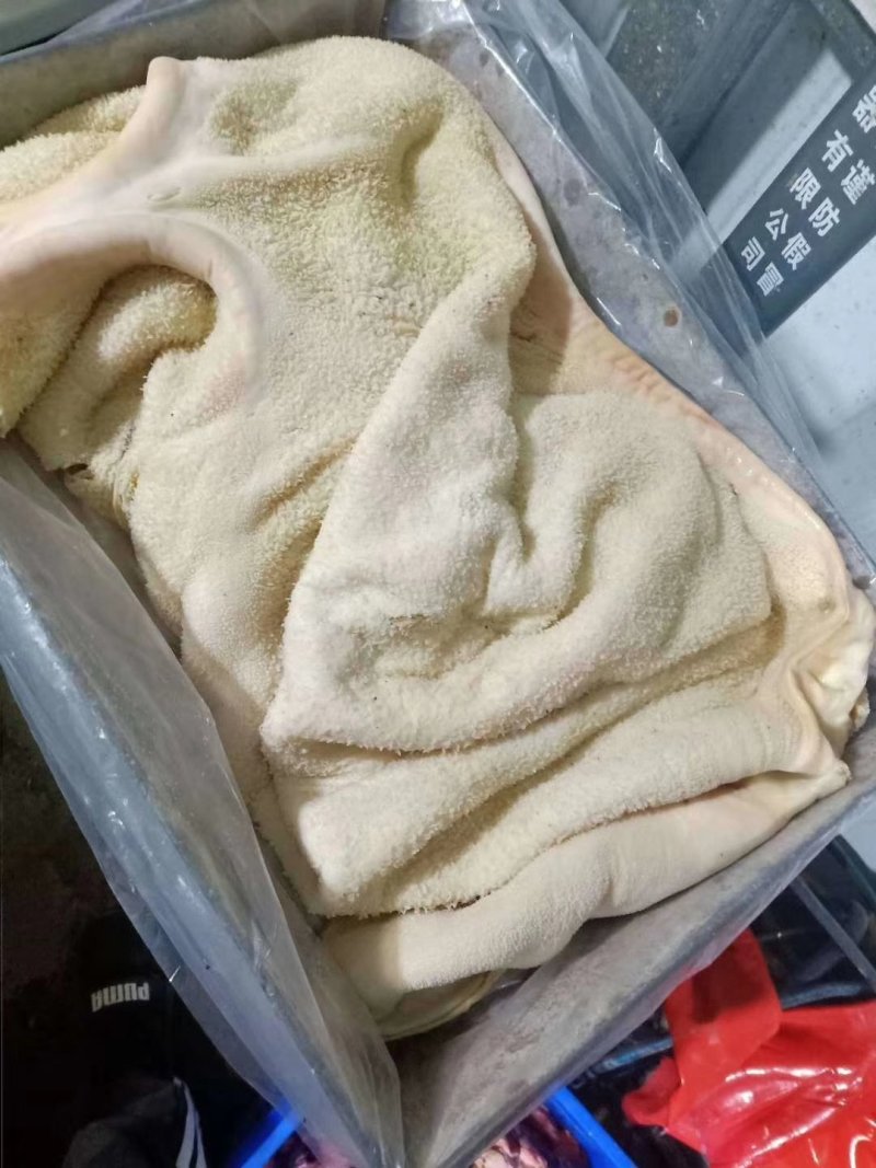 牛肚源头厂家适合炒菜黄焖牛肚凉拌肚