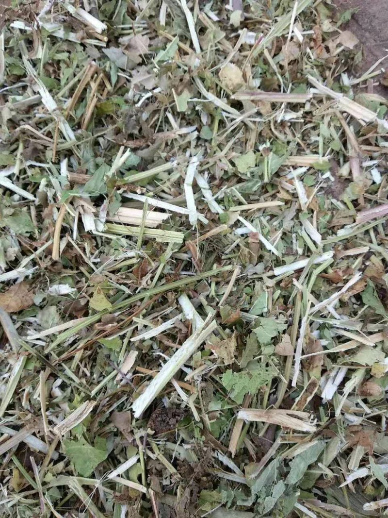 花生秧厂家直销牛羊马兔饲料！！！！！！