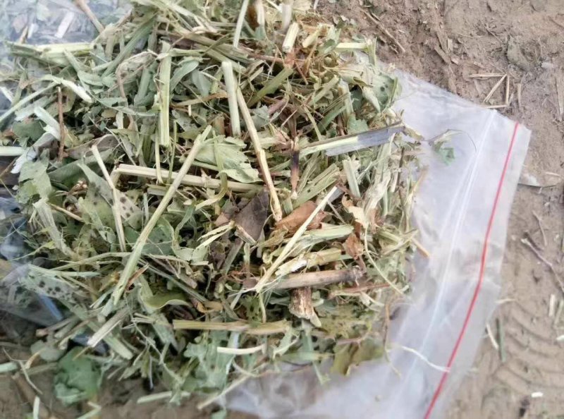 花生秧厂家直销牛羊马兔饲料！！！！！！