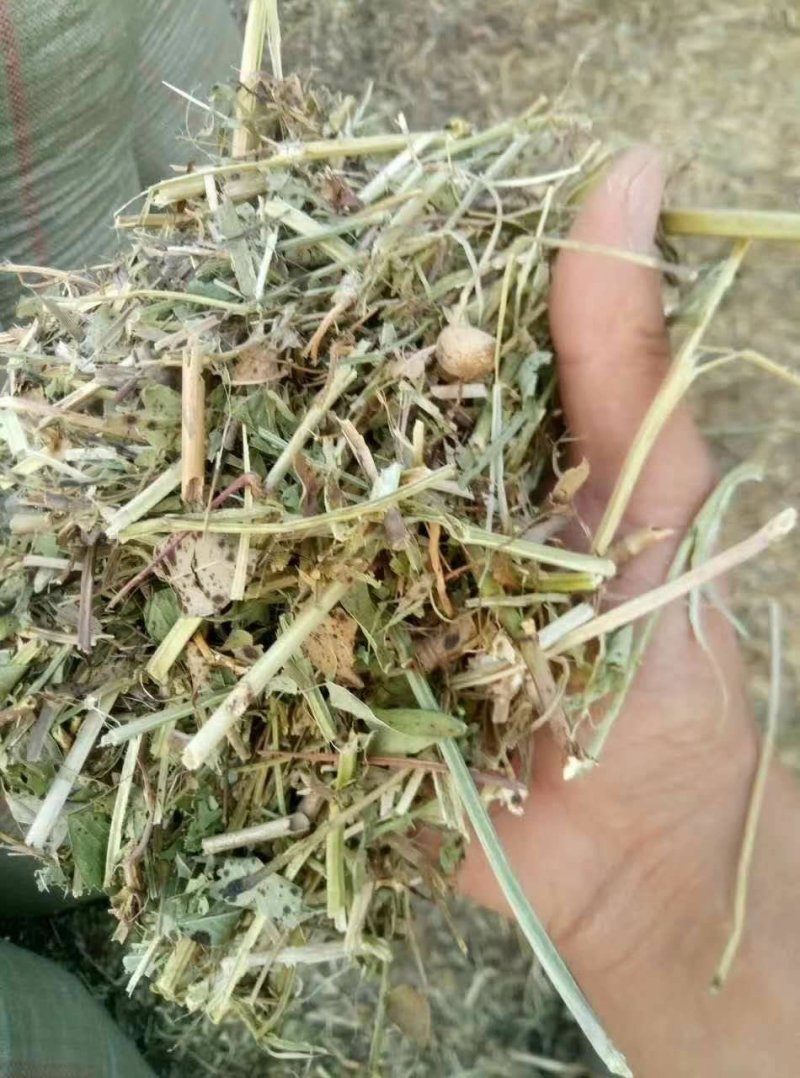 花生秧厂家直销牛羊马兔饲料！！！！！！