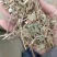 花生秧厂家直销牛羊马兔饲料!!!!!!