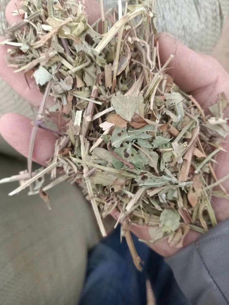 花生秧厂家直销牛羊马兔饲料！！！！！！