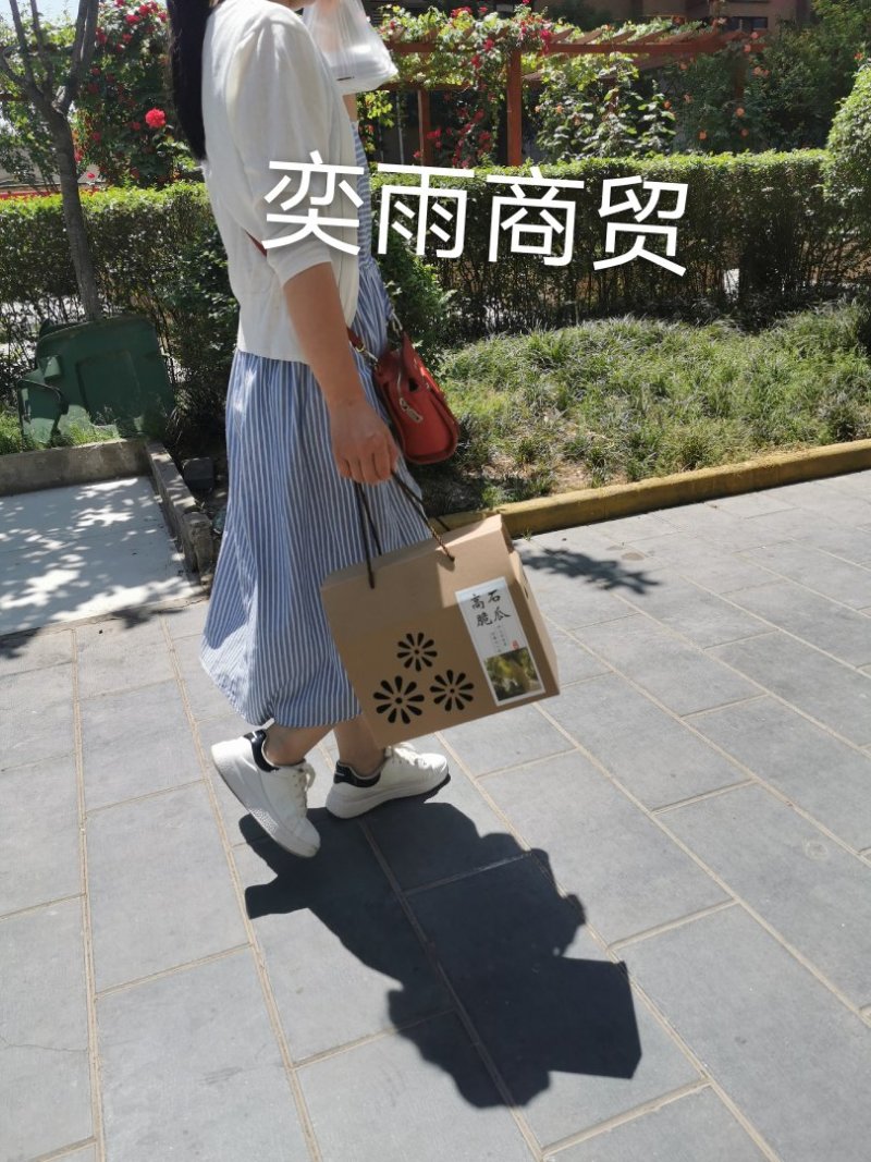 高石脆瓜