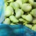 【推荐】江苏新鲜现剥蚕豆米蚕豆瓣品质好一手货源欢迎采购