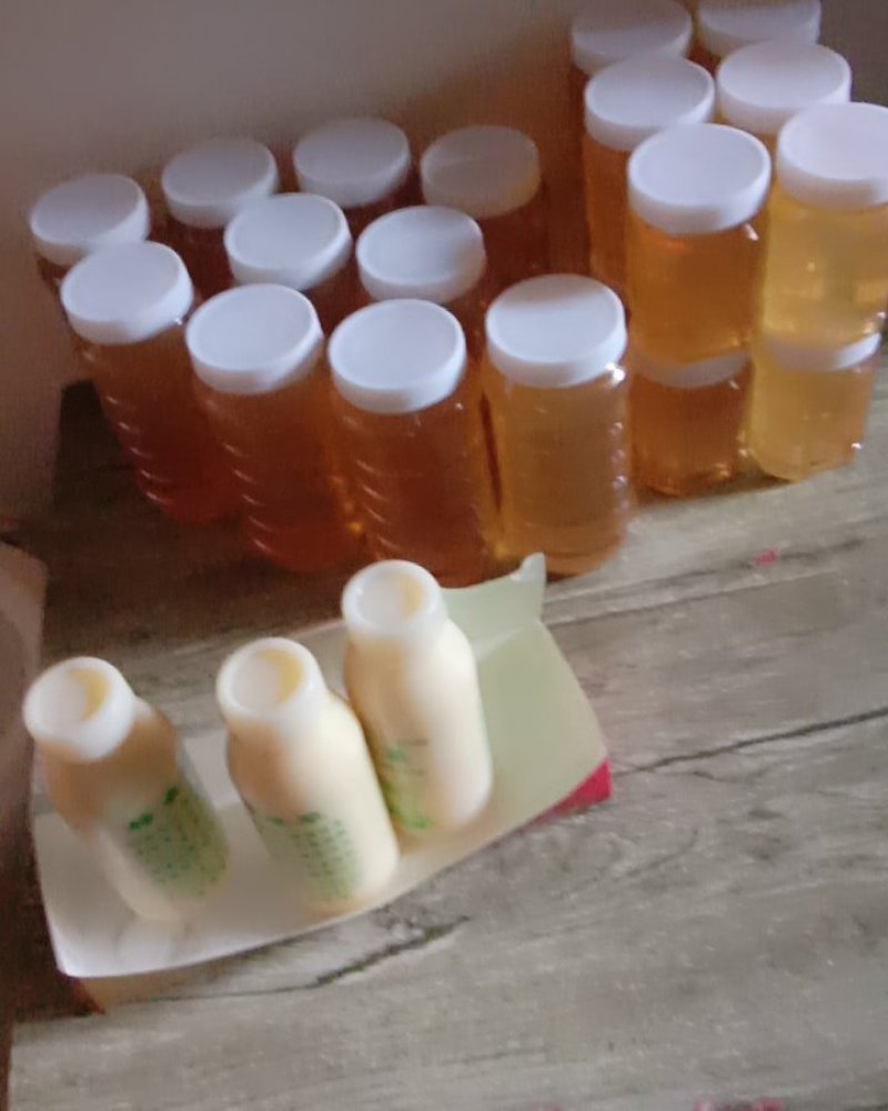 蜂蜜蜂王浆，各蜂产品农副产品量大从优