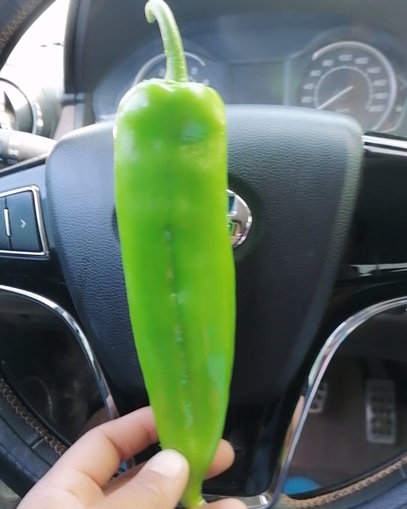 黄皮尖椒，长度二十左右，还有绿皮尖椒，质量好