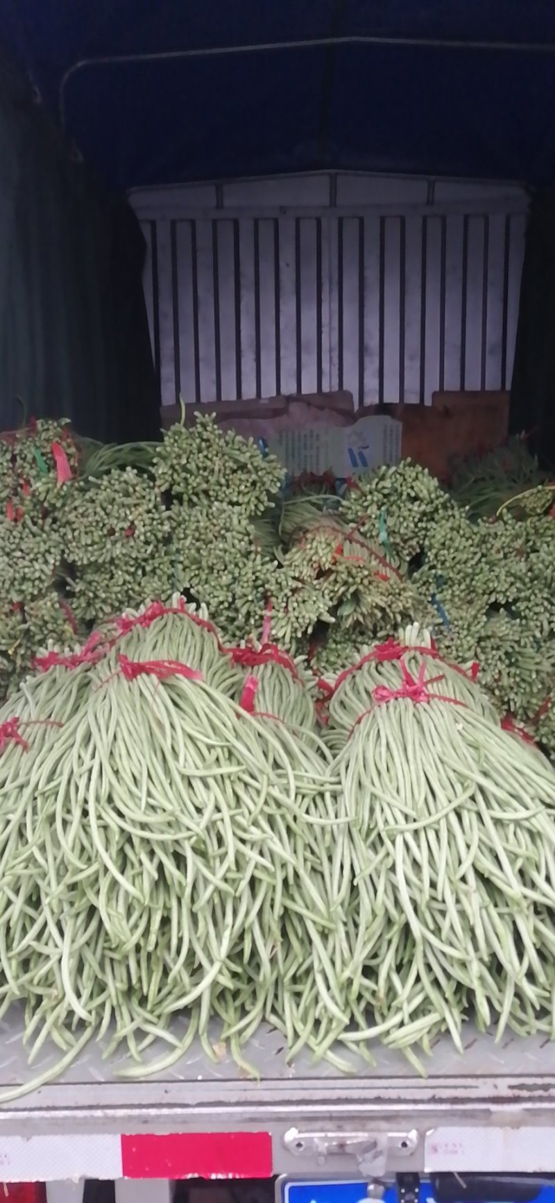 豆角大量上市，产地直销，