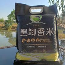 黑鲫香米4.8kg袋