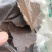 花生饼厂家直销现货量大！！！！！！
