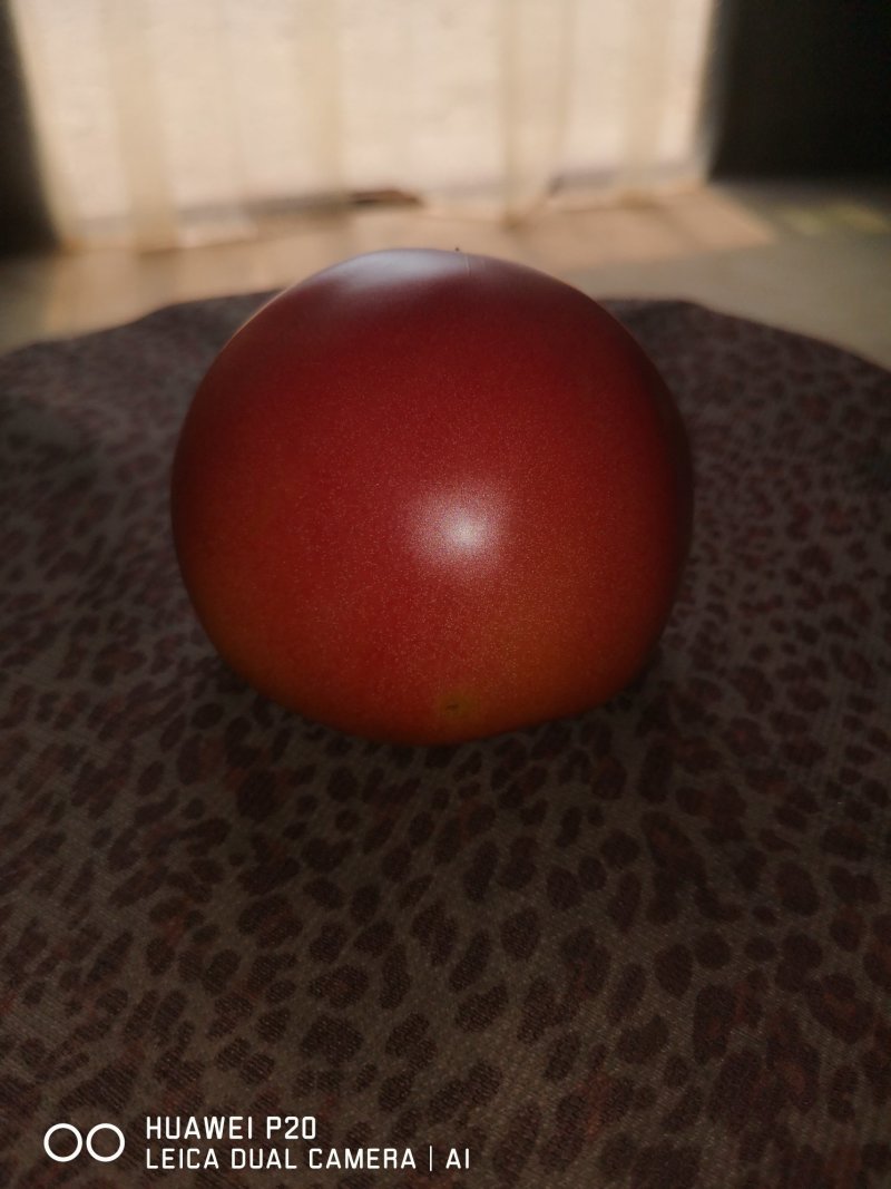 硬粉西红柿