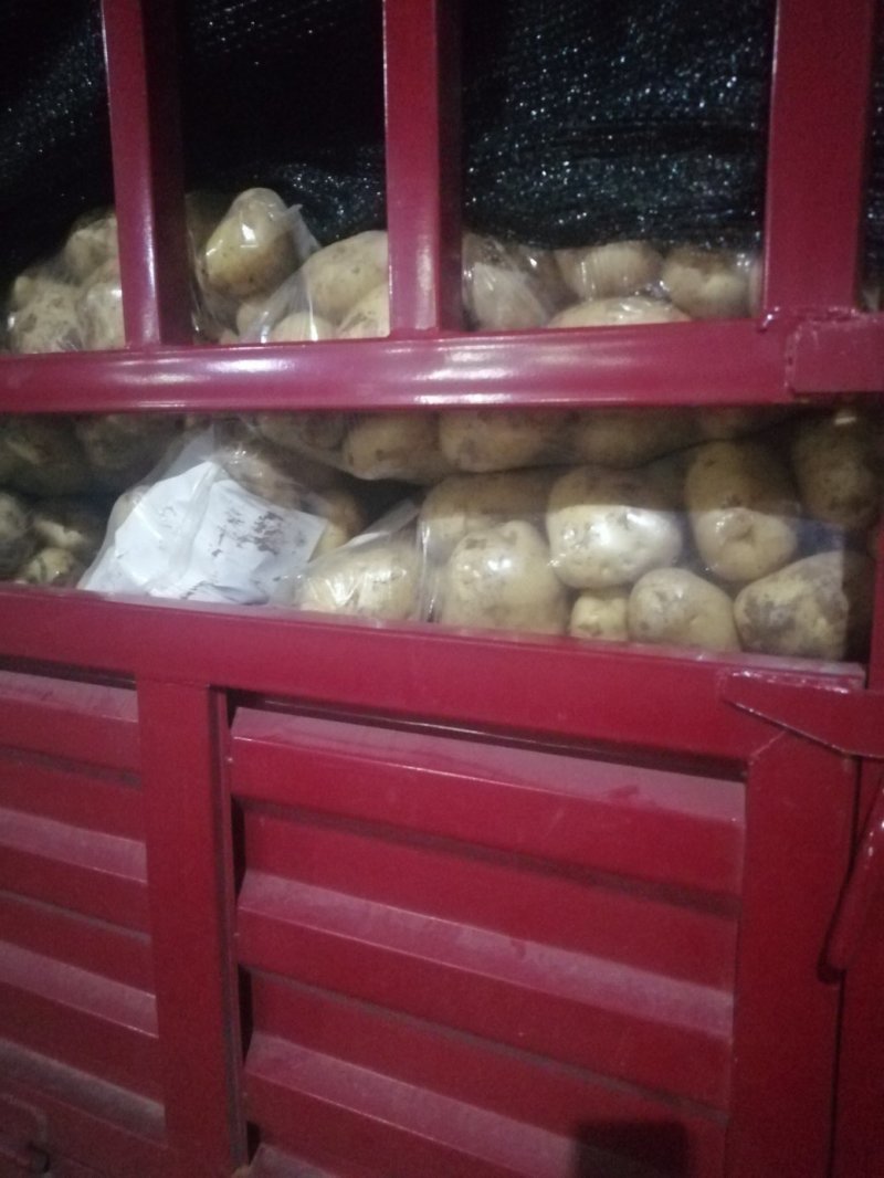 土豆黄心白心二两