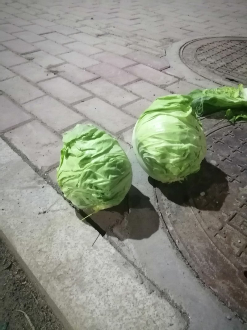 晥豆角