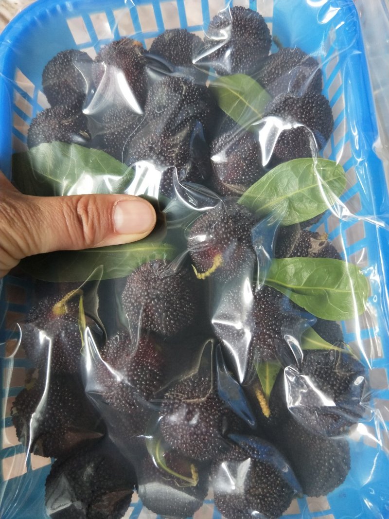 酸酸甜甜就是这个夏天的味道，健康食品“鲜”生活！加入我们