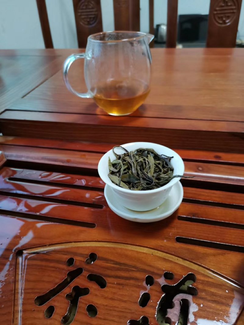 忙肺古树夏茶古树130年树龄