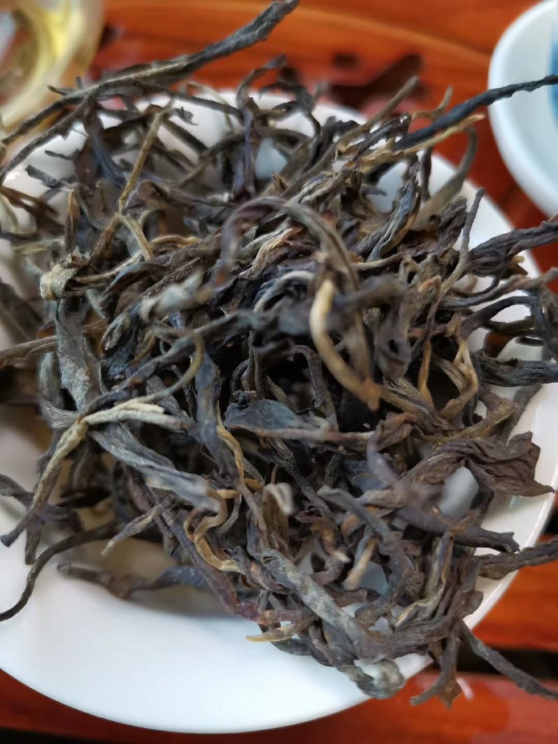 忙肺古树夏茶古树130年树龄