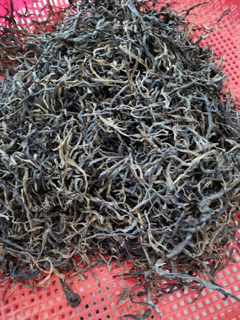 忙肺古树夏茶古树130年树龄