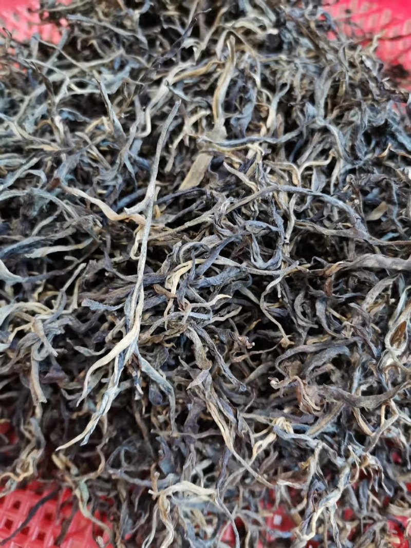 忙肺古树夏茶古树130年树龄