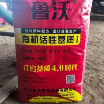 鲁沃育苗基质有有机活性菌开启基质4.0时