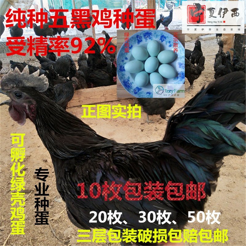 禽畜牧蛋肉