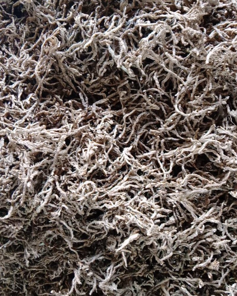 野生石菖蒲干净统货，质量保证，贵州省遵义市绥阳县太白镇。