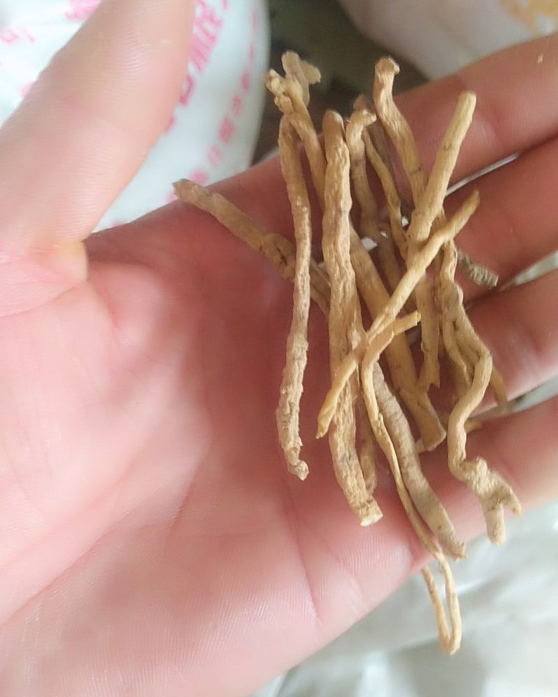 远志筒
